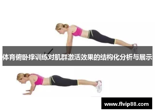 体育俯卧撑训练对肌群激活效果的结构化分析与展示